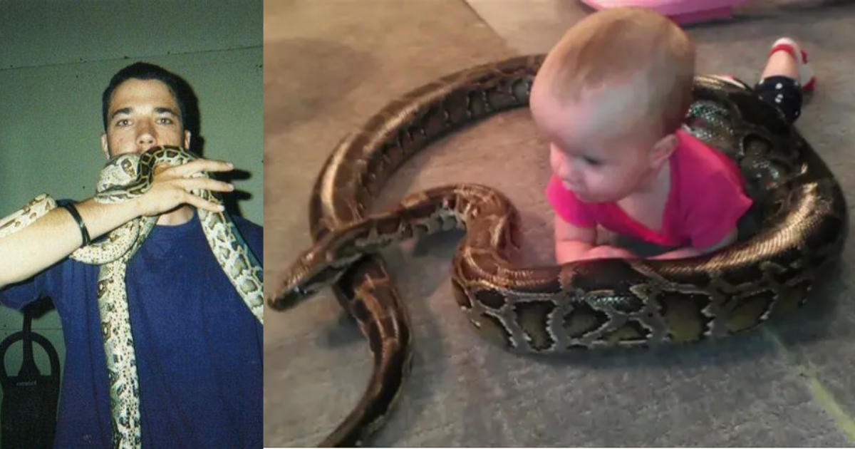 Dad defends decision to allow toddler daughter to play with their pet python