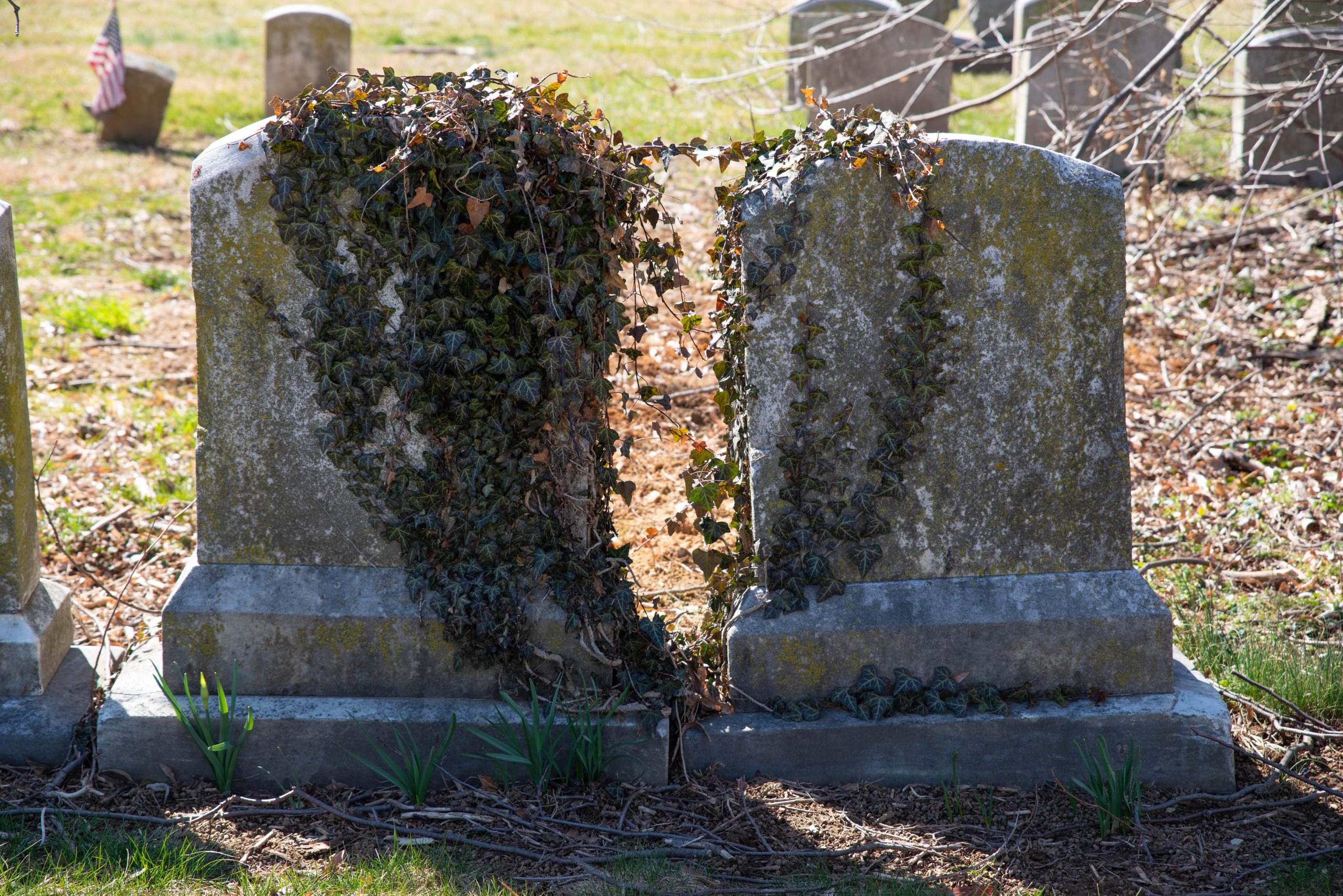 Adults Ignore Grandpa’s Overgrown Grave, Boy Cleans It and Finds Engraved Coordinates – Story of the Day