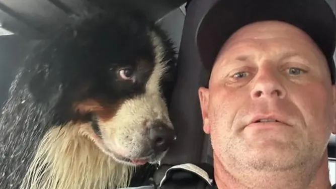 Dog’s “eyes say it all” after firefighter rescues him from Hurricane Milton flood