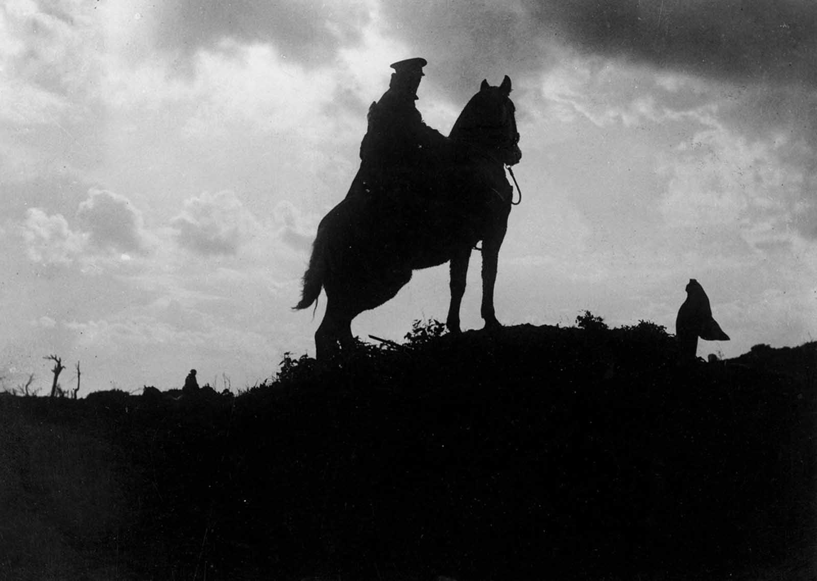 Animals in World War One seen through rare photographs, 1914-1918