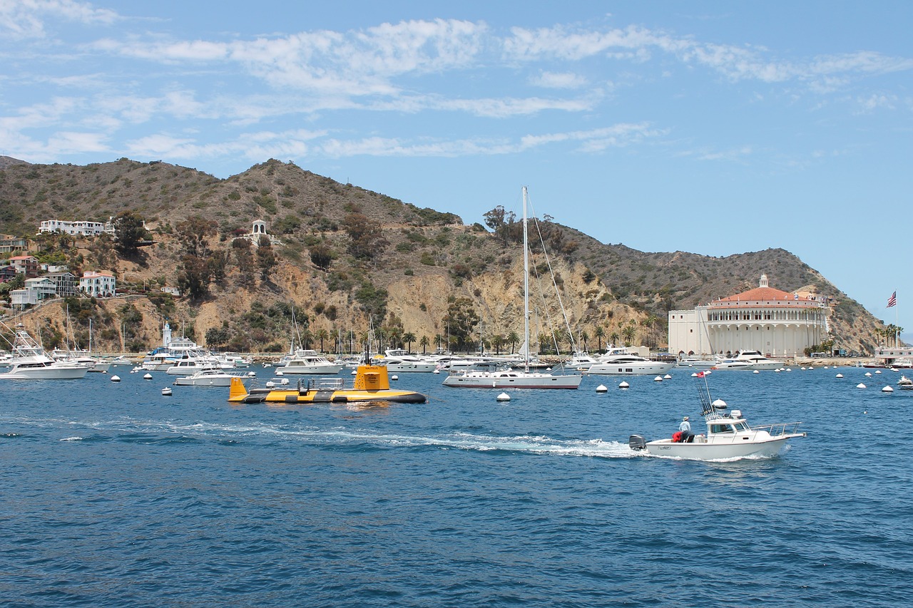 5 killed after twin-engine plane crashes on Catalina Island; investigation underway