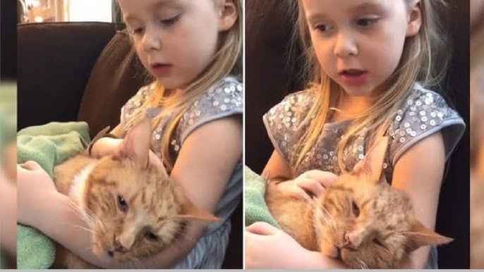 Little girl emotionally sings ‘You Are My Sunshine’ to dying cat